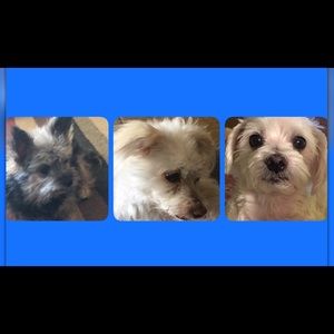 Meet your Posher, Diane